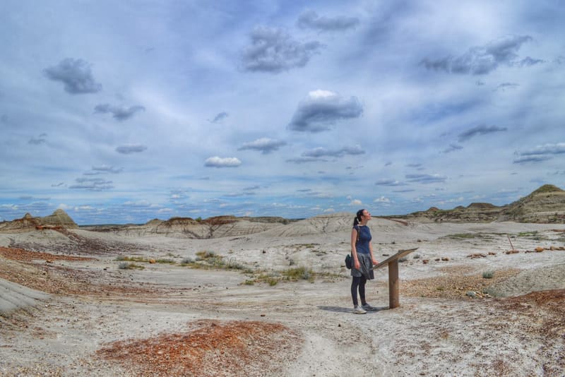 カナダのグランドキャニオン 恐竜州立自然公園 Dinosaur Provincial Park ダイナソール プロヴィンシアル パーク に行ってきた感想 旅するダンサー自由記