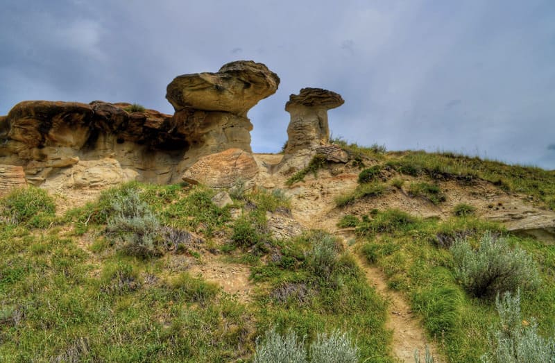 州立恐竜公園 Dinosaur Provincial Park Japaneseclass Jp