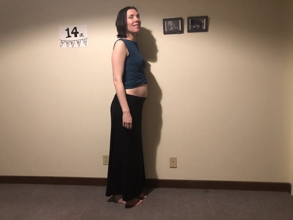 イメージカタログ ラブリー 妊娠 5 ヶ月 お腹 の 大き さ