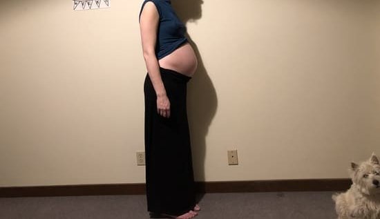 初期 ぽっこり 妊娠 お腹 妊娠２ヶ月でぽっこり出てきた下腹部を愛でていた私。でもその正体はアレでした by
